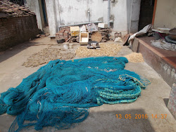 Purchasing "Dried Bombay Ducks" from a village house in Arnala.