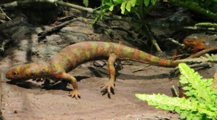 Hylonomus lyelli