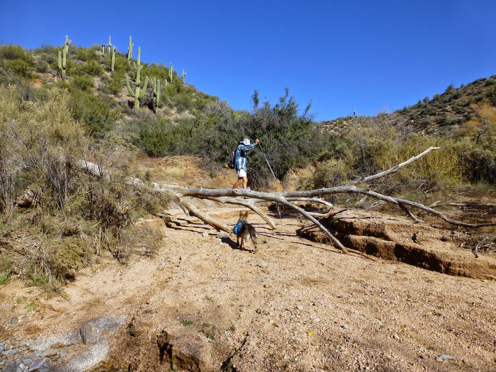 Hiking Camp Creek Falls, Tonto National Forest, Arizona