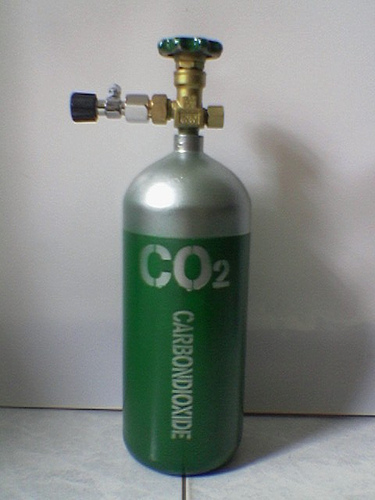 hệ thống CO2 hoàn chỉnh cho bể thủy sinh gồm những gì?
