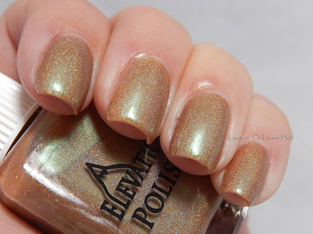 Elevation Polish Gobi