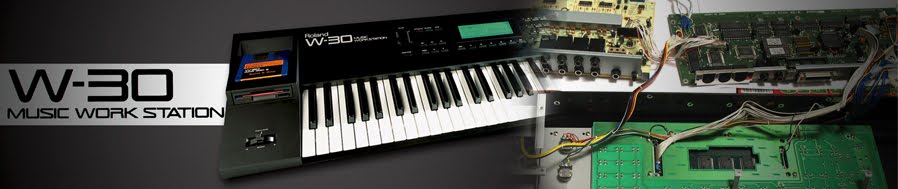 Roland W30