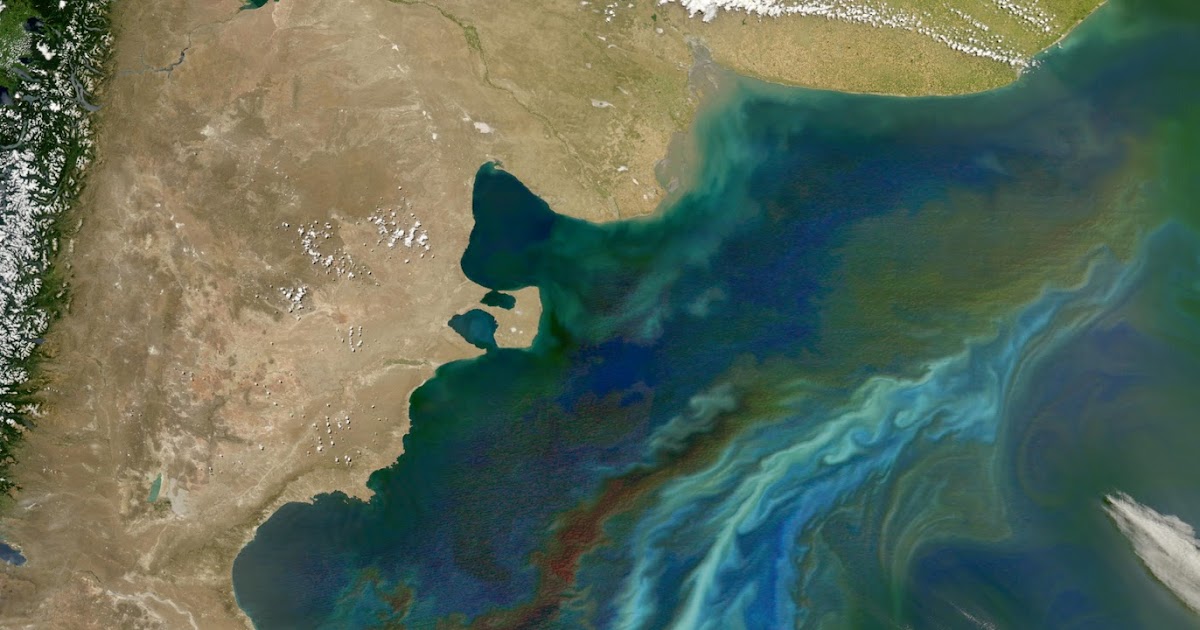 Save Our Stream Huge algae bloom in Atlantic off coast of Argentina