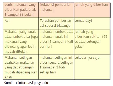 Makanan Anak Bayi Umur 9–11 Bulan | si kecil