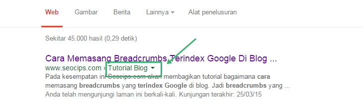Contoh breadcrumbs yang berhasil di index Google. Contoh breadcrumbs yang berhasil di index Google.