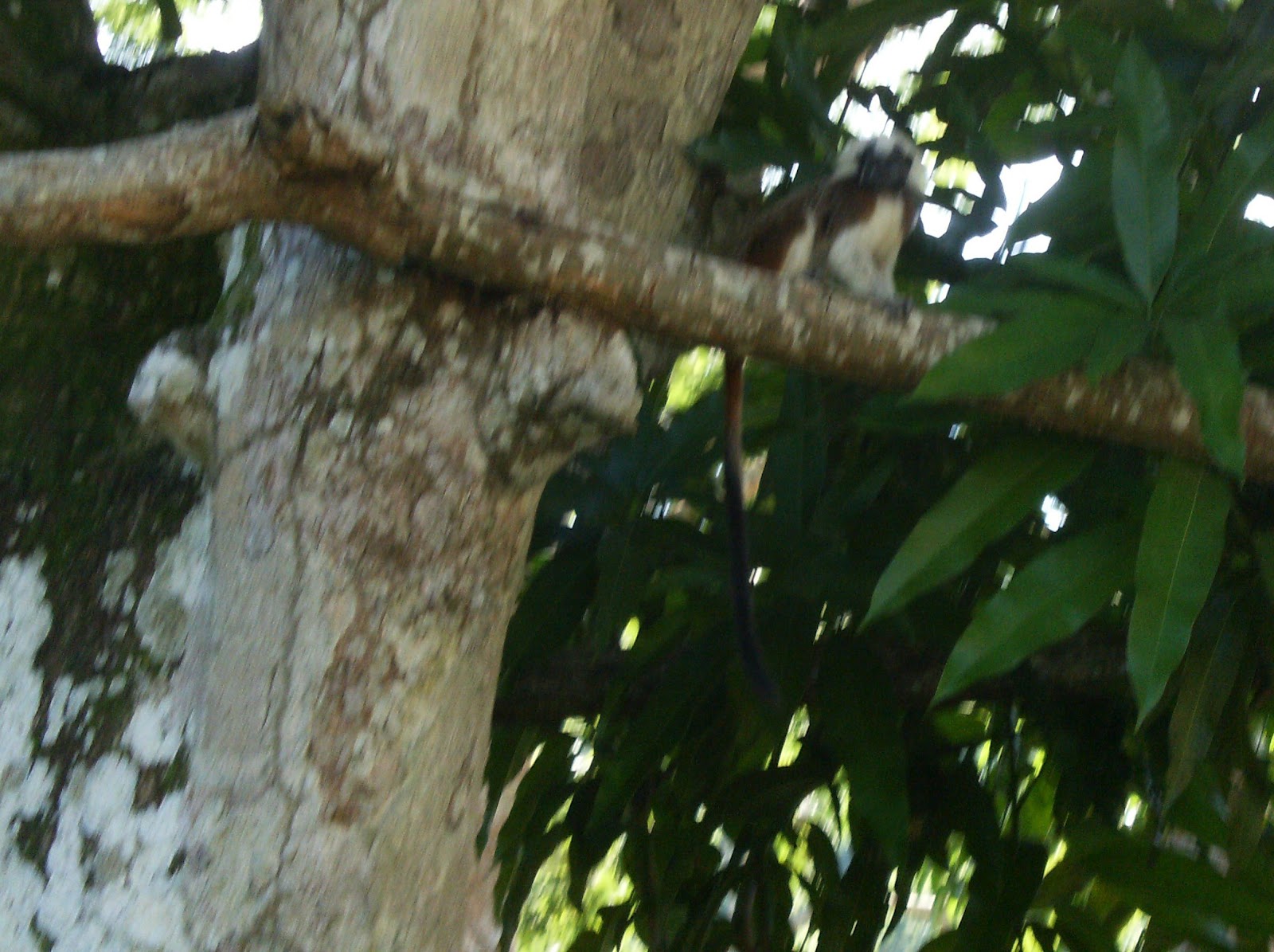 ''Colombia, el unico riesgo es que te quieras quedar'' Selección de