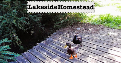 Lakeside Homestead 