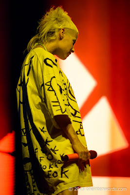 Die Antwoord at Time Festival August 15, 2015 Fort York Photo by John at One In Ten Words oneintenwords.com toronto indie alternative music blog concert photography pictures