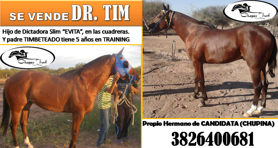 dr tim se vende