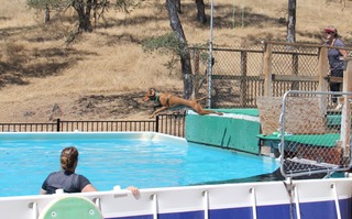 Dock Diving Practice Ione