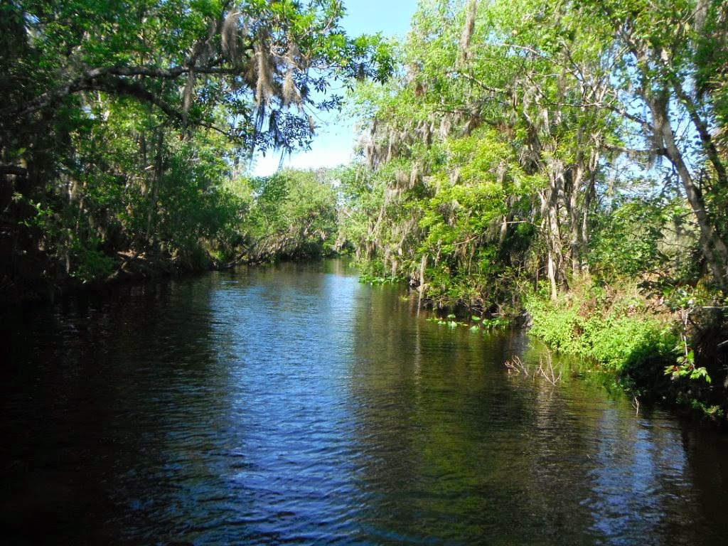 Roger's Florida Seminar How to be Safe in the Woods January 24th, 2015