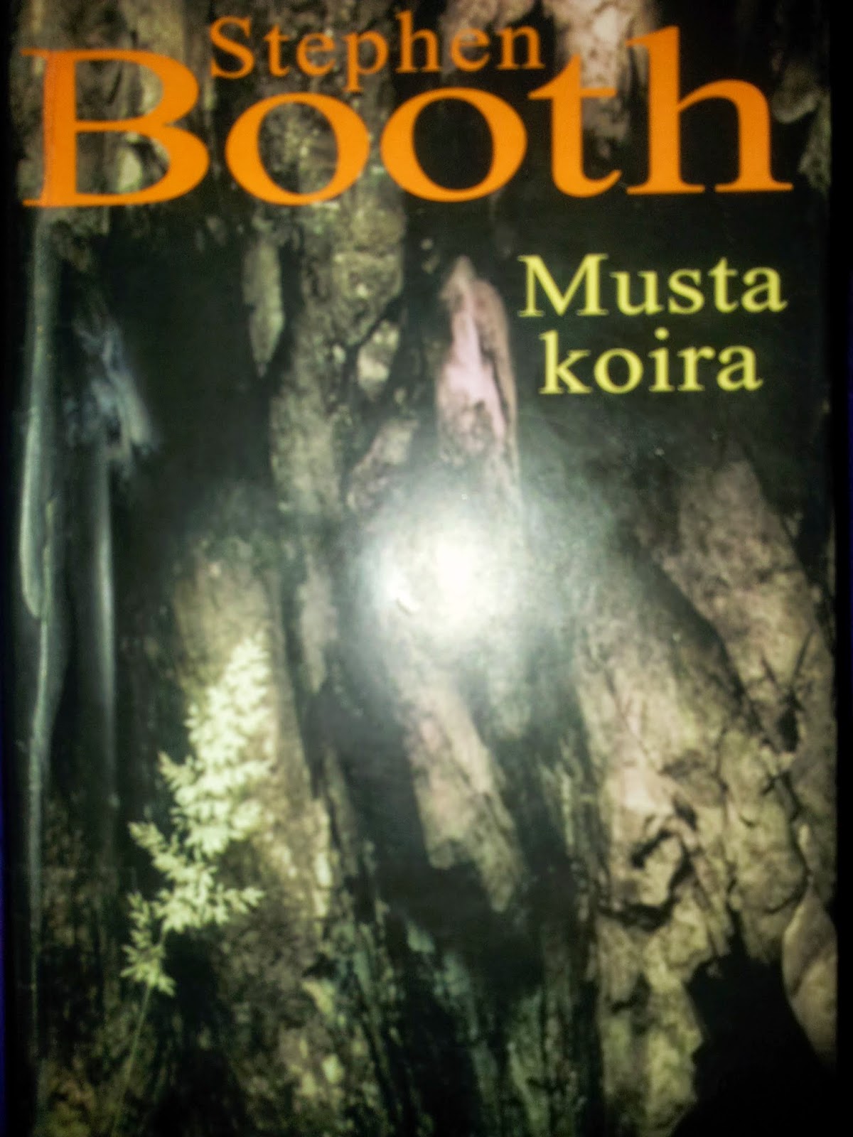 Kuva
