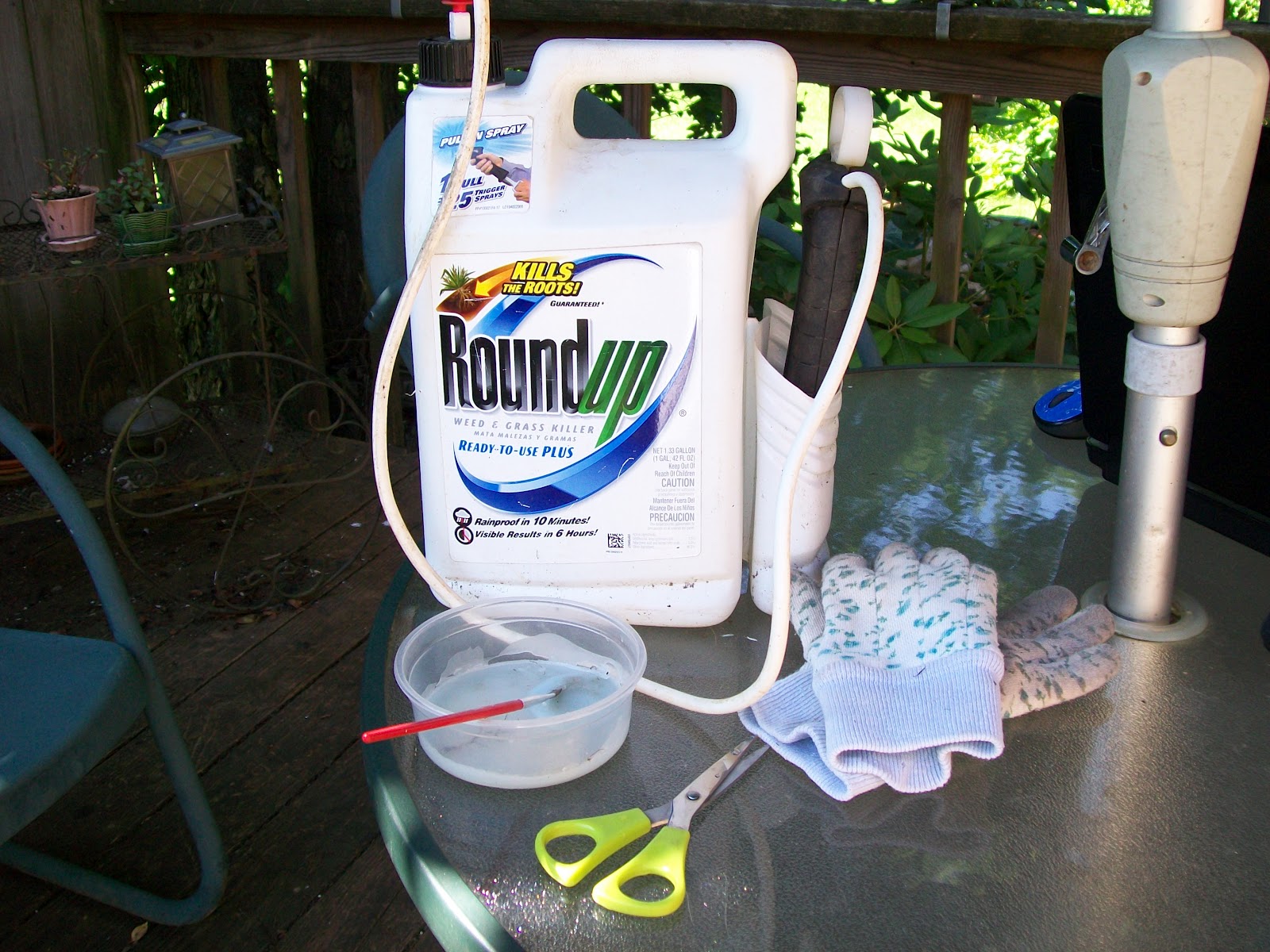 Cabin Fever Death To Poison Ivy