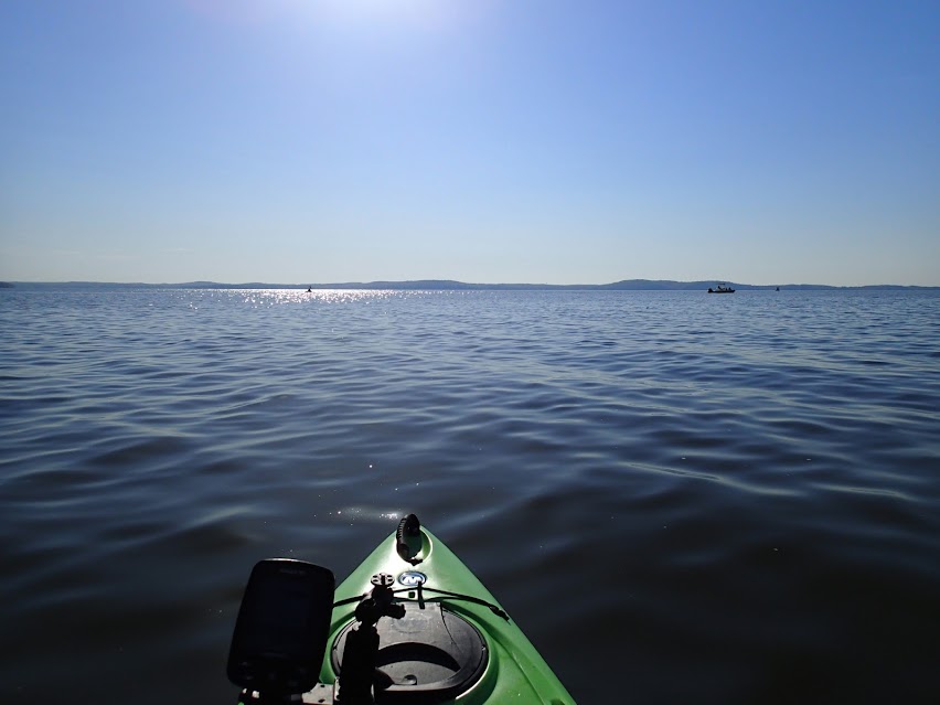 Nice image showing susquehanna largemouth bass