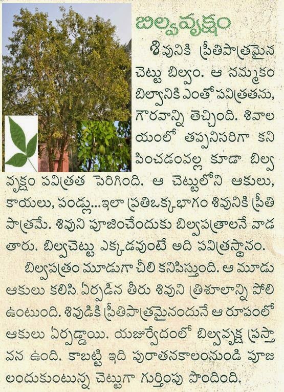 Telugu essays in telugu script