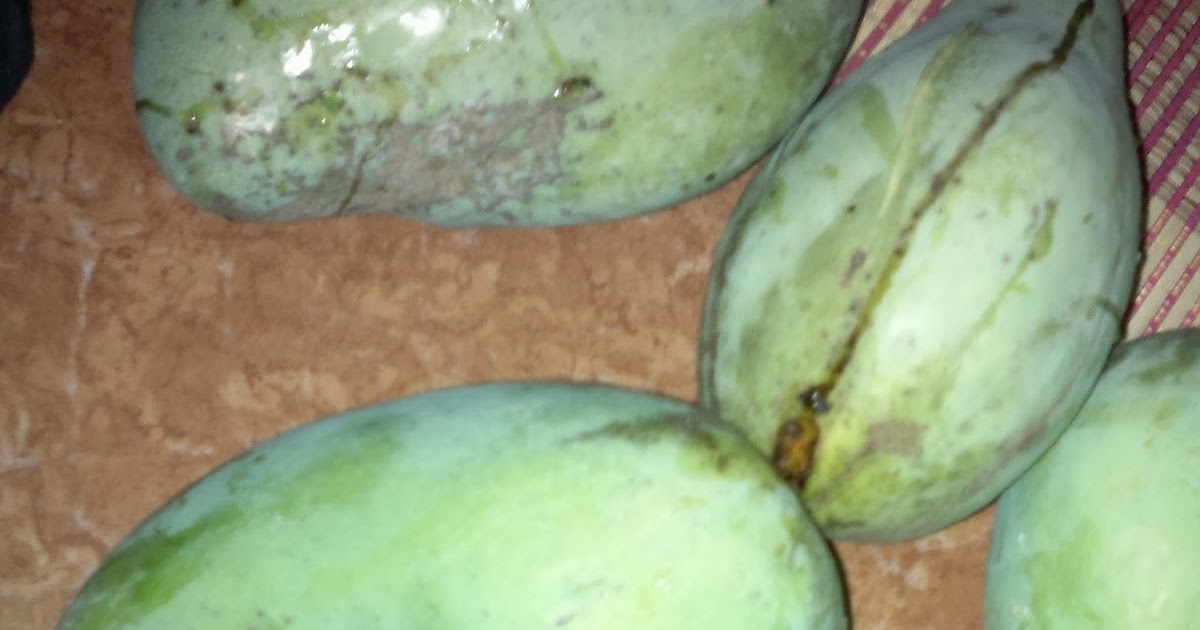 BAHTERA 11: Mangga, Oh, Mangga!