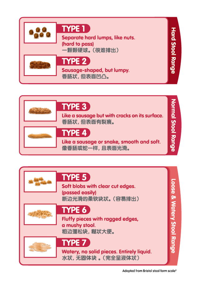 5 Types Of Diarrhea That You Need To Know About 5 Types Of Diarrhea That You Need To Know About new foto 5 Types Of Diarrhea That You Need To Know About 5 Types Of Diarrhea That You Need To Know About new images