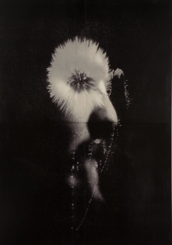 Just Watching the Wheels Go Round David Noonan The Owls Aren't What