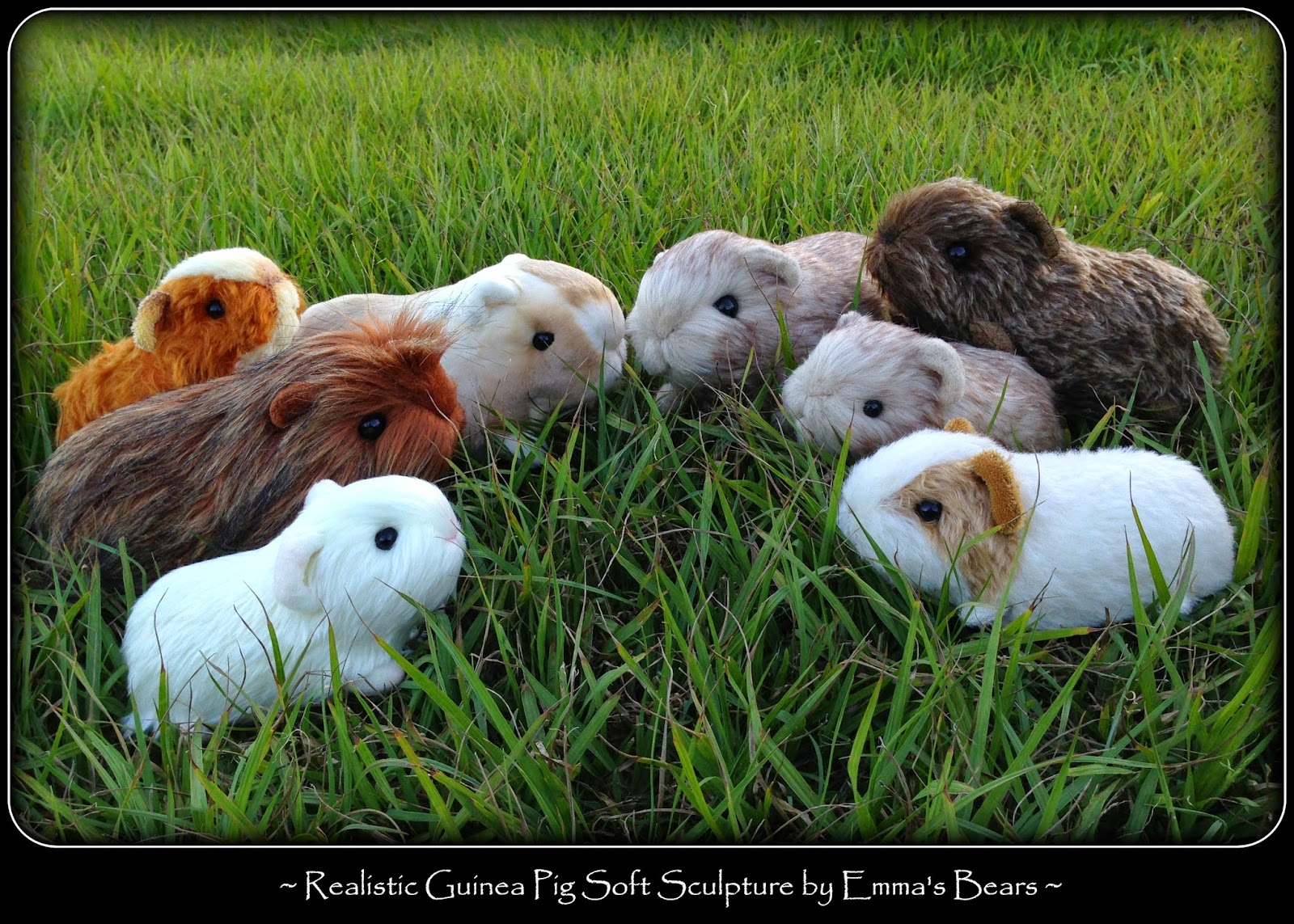 All Things Guinea Pig Guinea pig Plushies