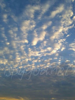 expanse of sky filled with whimsical rolling cloud patterns