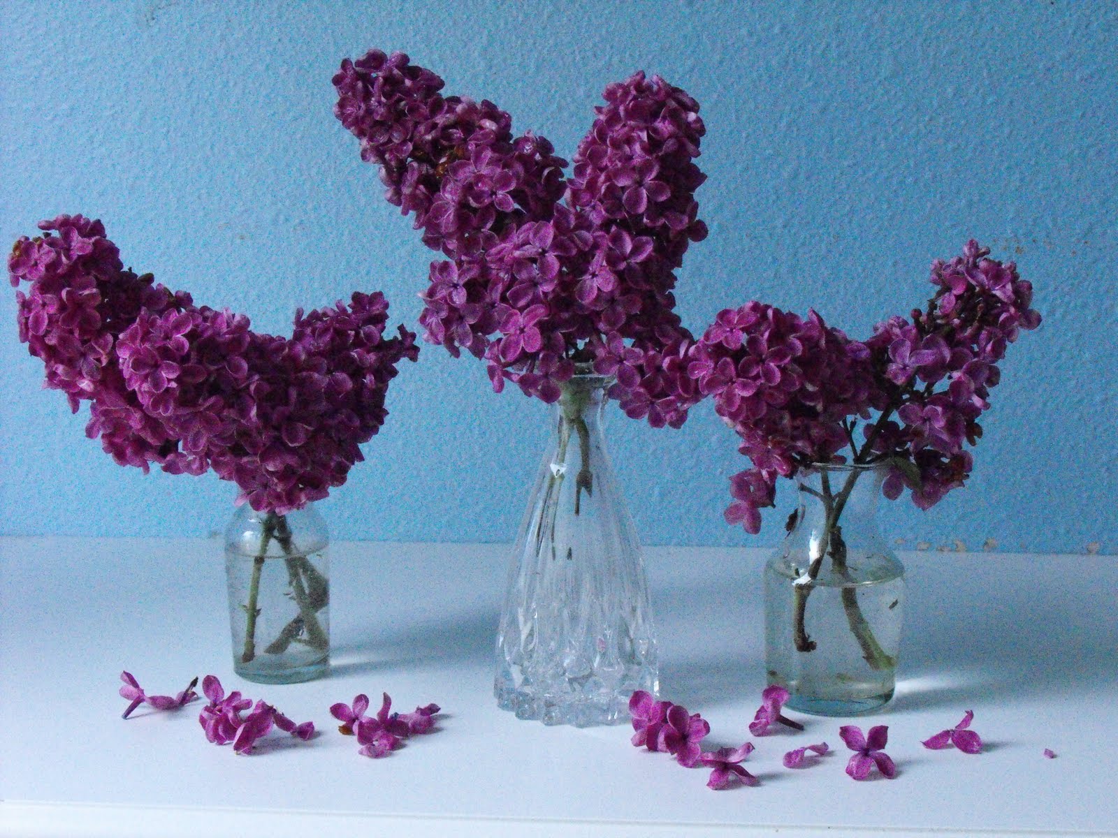 Landscaping Home Ideas Easy Ways to Make Flowers Last Longer