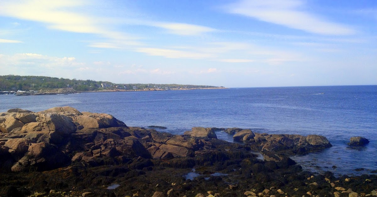 Veggie with a Cause Warm New England Love