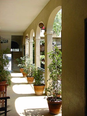 The Herb Gardener: Watering Herbs in Pots