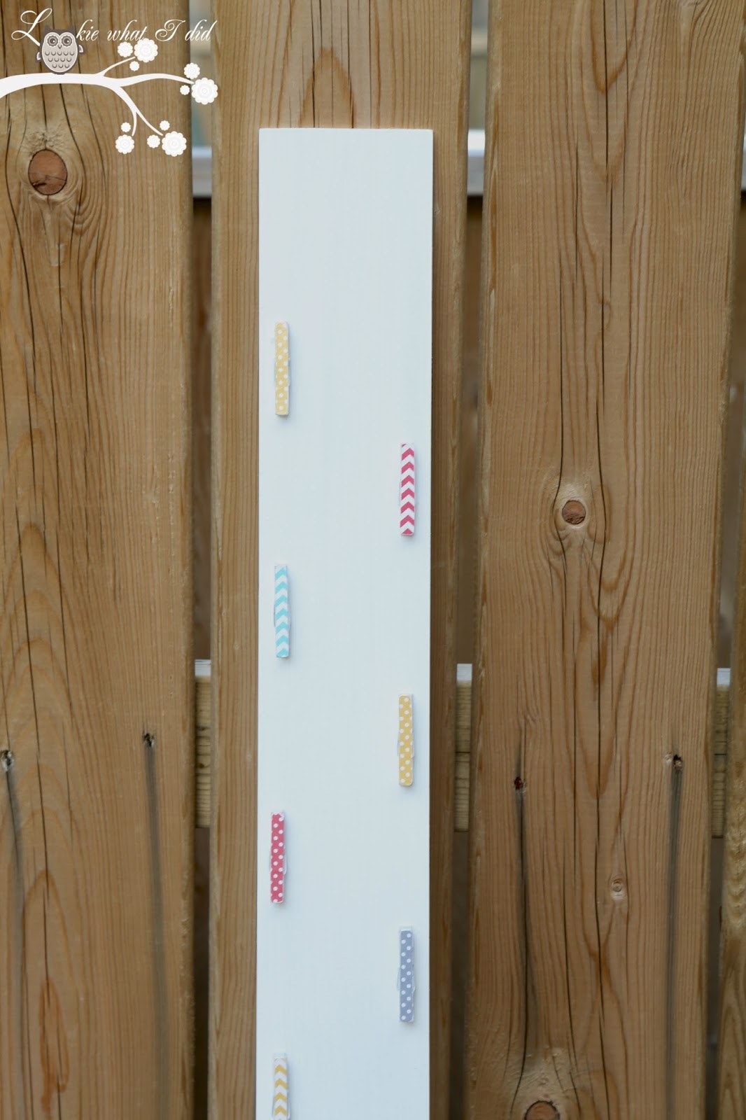 Lookie What I Did "Grab a Bag" A Way to Organize those Bags of Chips