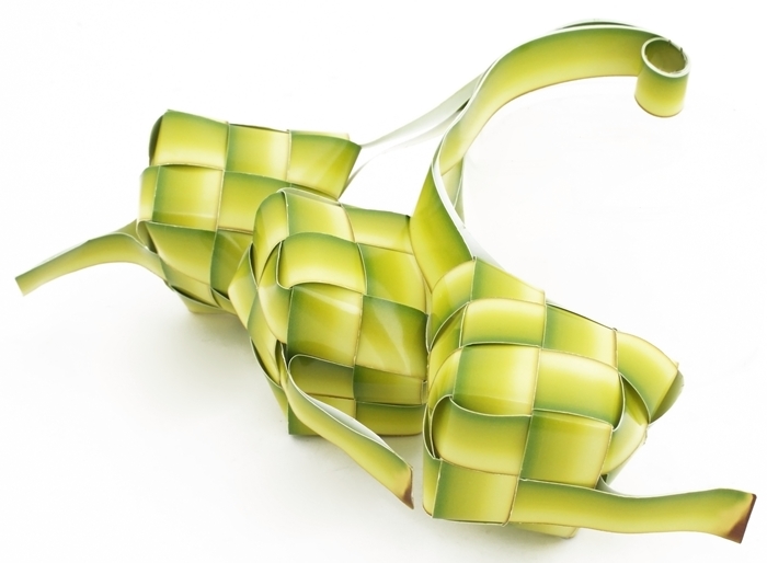 TEKNOLOGI MAKANAN: SELAMAT MENYAMBUT HARI RAYA AIDILFITRI 2012..MAAF