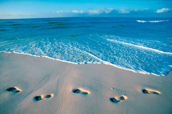 FloridaBeach 10 Best Beaches Florida,Best Family Beaches Florida,Cocoa Beach Florida,Map of Florida Beaches,bWhite Sand Beaches Florida