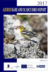 THE AZORES RARE AND SCARCE BIRD REPORT 2017