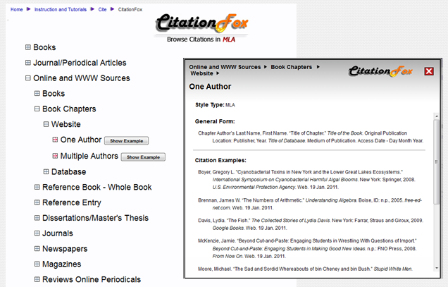 UNT Dallas Library Citation Fox Learning by Example