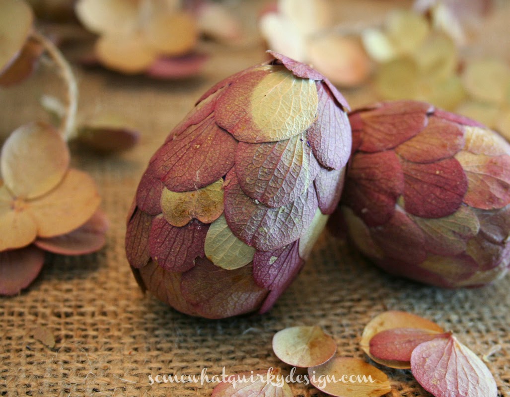 Echoes Of Eden Dayle King Searle Hydrangeas For Alkaline Soil