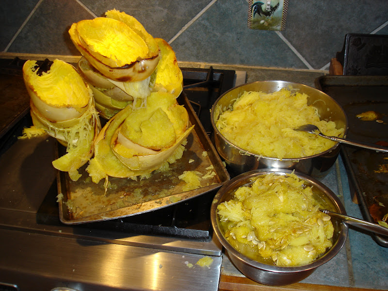 MOVING ON TO THE PAST Dehydrated Spaghetti Squash