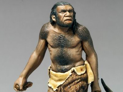 gambar manusia purba meganthropus paleojavanicus