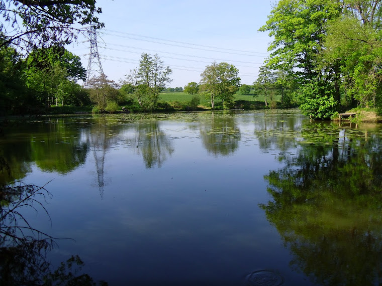 Around Mid Sussex, the Mill Pond