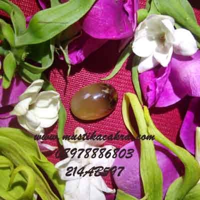 Mustika Pengasihan,Mustika Belibis Putih Mustika Bertuah, Benda Berkhasiat, Batu Berkodam, Pusaka sekti, Azimat pegangan, Mustika Belibis Putih