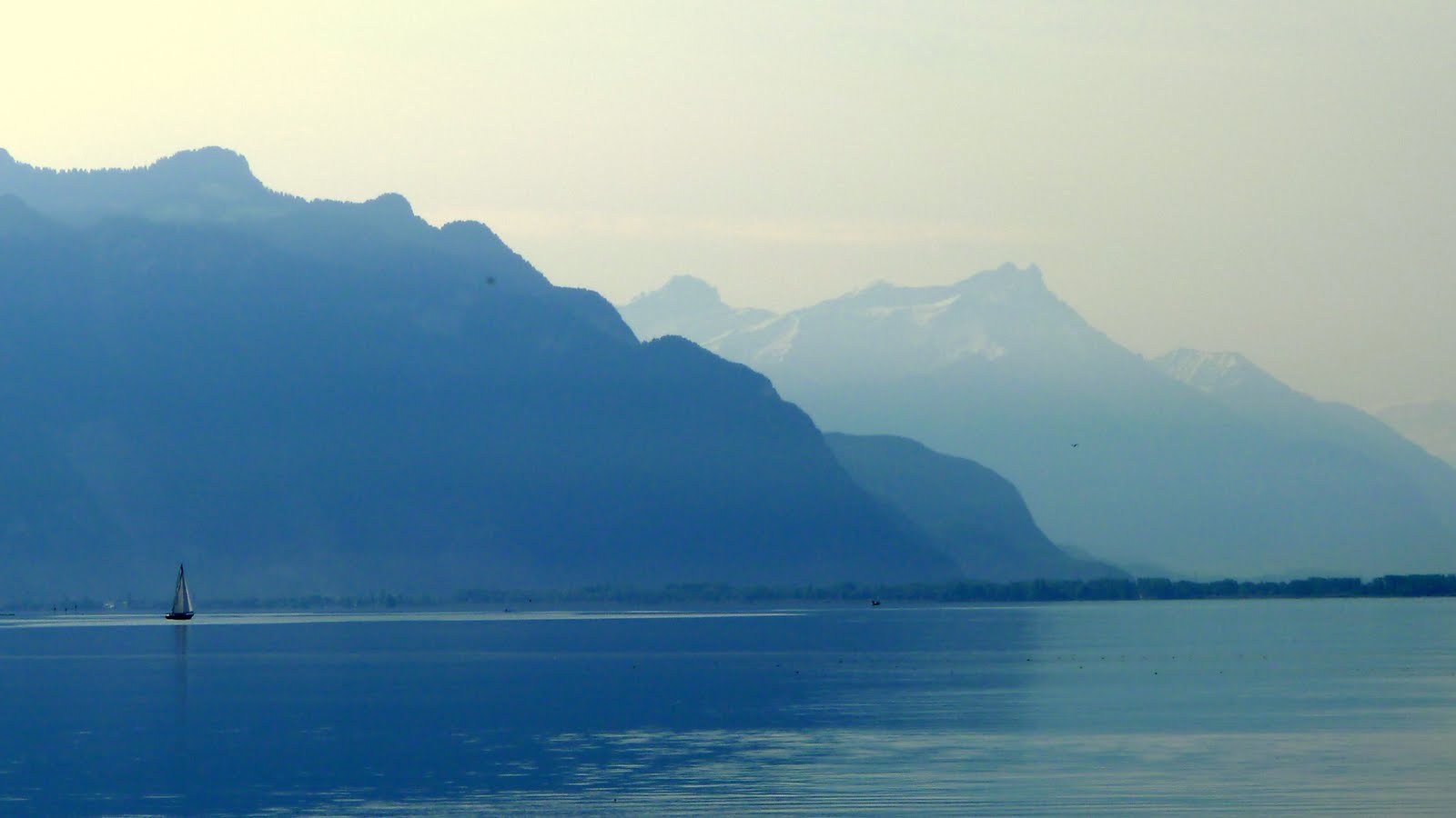 The French Connection Vevey, Switzerland