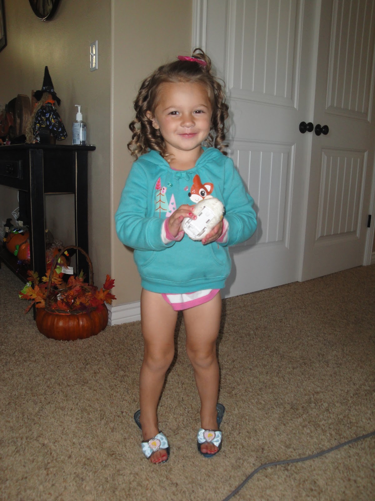 Potty training puppy apartment, potty training sticker charts