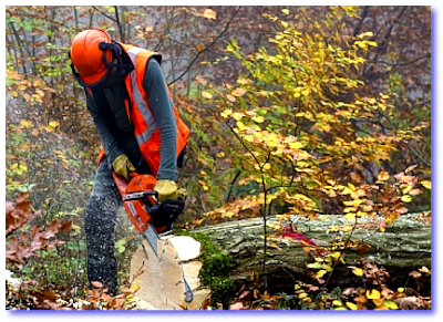 chain saw chain saw, lumberjack