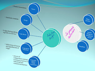 Intellectual property essay