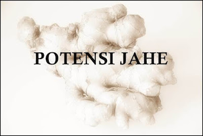 Potensi Pasar Bisnis Jahe Merah Masih Menjanjikan Potensi Pasar Bisnis Jahe Merah Masih Menjanjikan