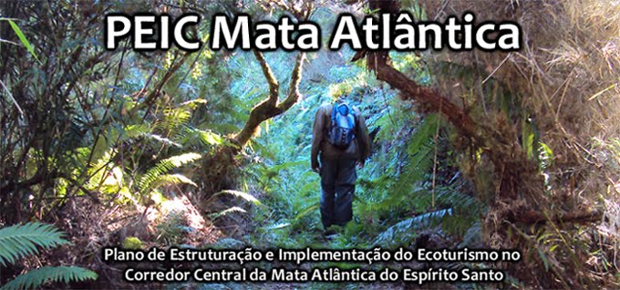 PEIC Mata Atlântica