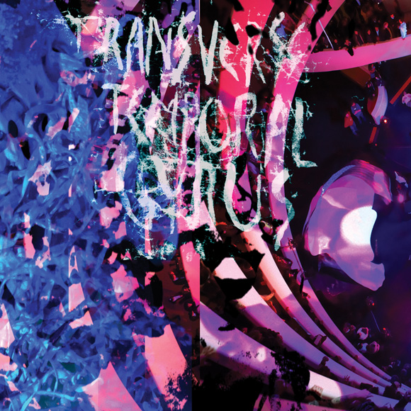Animal Collective -Transverse Temporal Gyrus Animal Collective - Transverse Temporal Gyrus