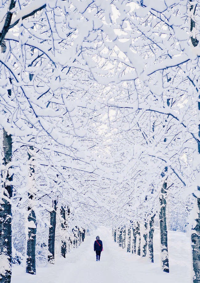 Reykjavik, Iceland - Snowy Wonderlands From Around The World Will Fight The Winter Blahs Reykjavik, Iceland - Snowy Wonderlands From Around The World Will Fight The Winter Blahs