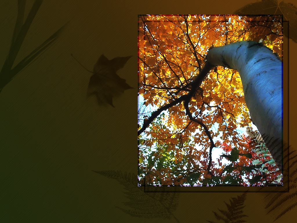 http://4.bp.blogspot.com/-fxNOWUe0xYU/TlSnWBvogTI/AAAAAAAAABU/01_j9KBQIYk/s1600/desktop48b.jpg