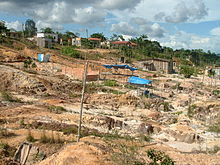 classificados gratis Amazonas