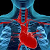 Material: Atualizações em Reabilitação CardioPulmonar