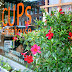 CUPS offers Up Events In February