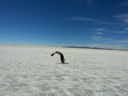 Salar de Uyuni - Bolivien